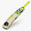 DSC IW Bat Torment 