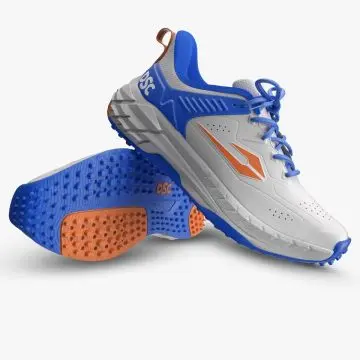 DSC Ckt Stud Endgame 