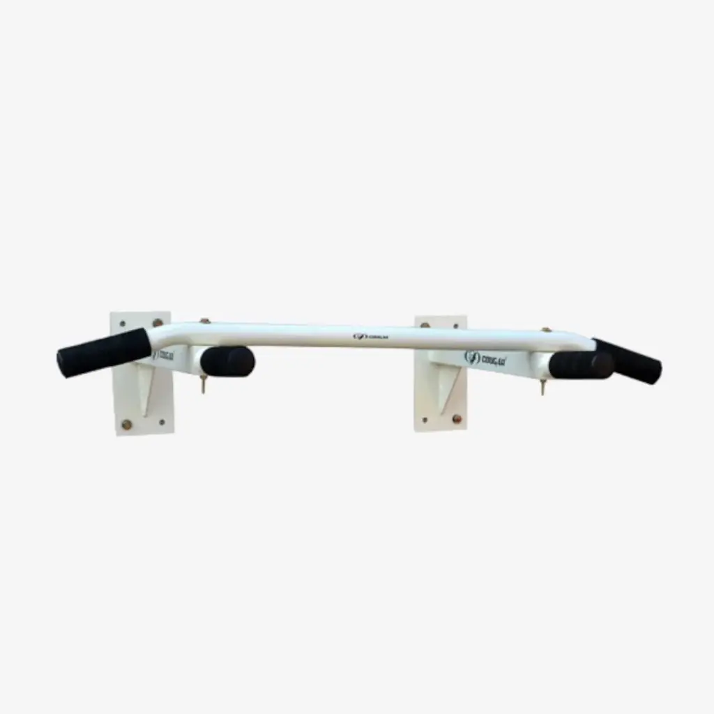 Cougar WLB-119 Wall Mounted MU