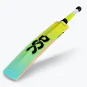 DSC Ckt/Tennis Bat Warrior