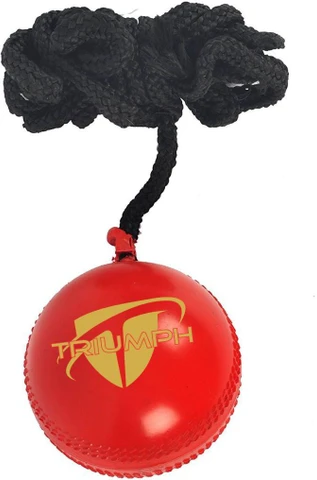 Triumph Hanging Ball Pvc G 15 
