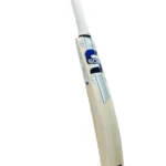 Somi EW Bat Storm 