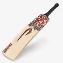DSC EW Bat Thumpa 3000