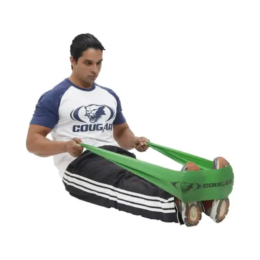 Cougar Fitness Band At-114M