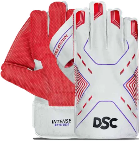 Dsc Wk Gloves Int Attitude M