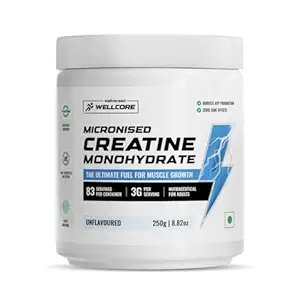 Wellcore Creatine 250GM