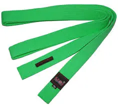 USI Belt Coloured Green 280cm (417bc)   