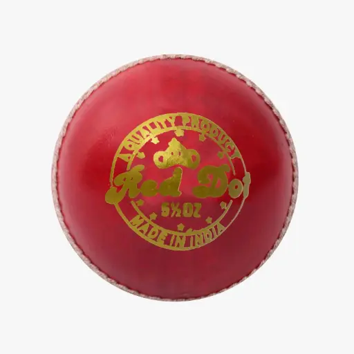 DSC Leather Ball Red Dot