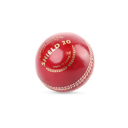 SG Leather Ball Shield 20